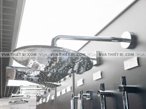 Bát sen âm tường TOTO DBX113CA gắn tường