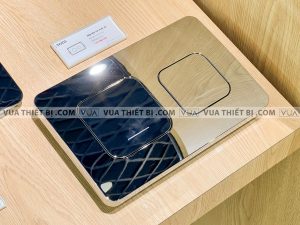 TOTO HMB003CPR-2 - Nắp đậy nút nhấn xả bồn cầu màu chrome 2 Nắp đậy nút nhấn xả bồn cầu TOTO HMB003CPR-2 màu chrome