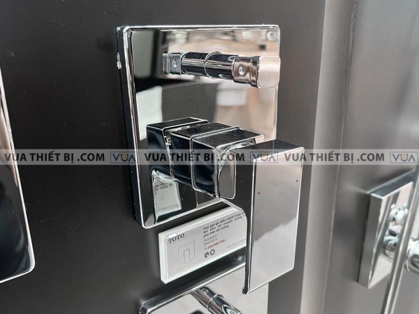 Van gật gù TOTO TBG08304V TBN01001B sen âm tường GC