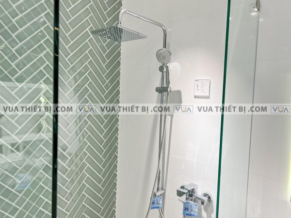 Vòi sen cây TOTO DM907C1S TBG02302V DGH108ZR nóng lạnh