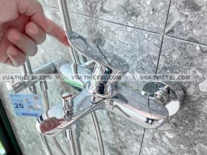 Vòi sen cây TOTO TBW01002B1 TBG01302V TBW01010A nóng lạnh