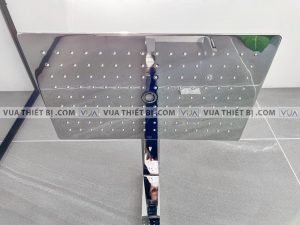 Vòi sen cây TOTO TBW05401A nhiệt độ