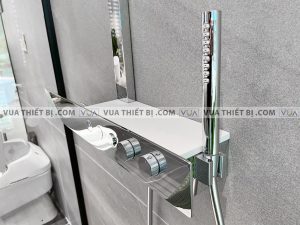 Vòi sen cây TOTO TBW05401A nhiệt độ