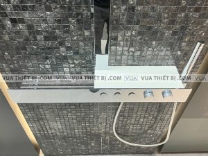 Vòi sen cây TOTO TBW05401A nhiệt độ