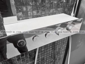 Vòi sen cây TOTO TBW05401A nhiệt độ