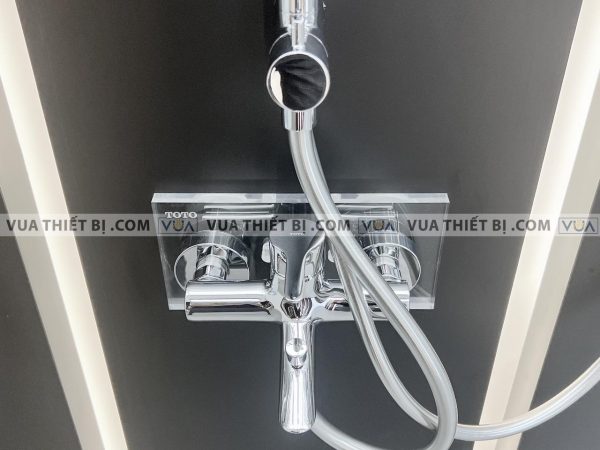 Vòi sen tắm TOTO TBS01302V nóng lạnh LB