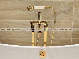 Vòi sen xả bồn tắm TOTO DM209CF#PG đặt sàn