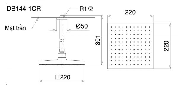 Bản-vẽ-kỹ-thuật-Bát-sen-âm-tường-TOTO-DB144-1CR-gắn-trần