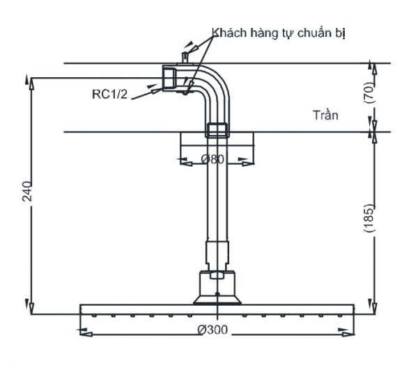 Bản vẽ kỹ thuật Bát sen âm tường TOTO DBX113-1CA gắn trần