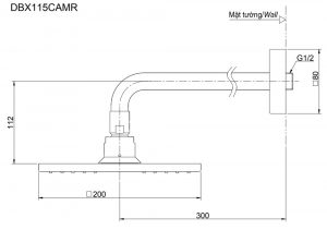 Bản vẽ kỹ thuật Bát sen âm tường TOTO DBX115CAMR gắn tường