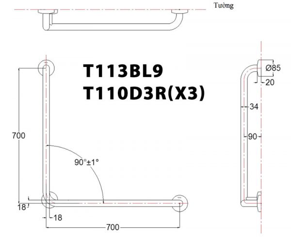 Bản vẽ kỹ thuật Thanh vịn TOTO T113BL9 T110D3R(X3) gắn tường