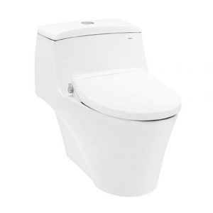 Bồn cầu 1 khối TOTO CW823RAE2 nắp rửa cơ TCW07S