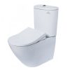 Bồn cầu 2 khối TOTO CS761DE5 nắp rửa cơ TCW09SK1
