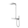 Vòi sen cây TOTO TBW05401A nhiệt độ