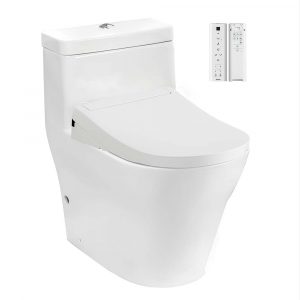 TOTO CW166RB TCF34320GAA T53P100VR - Bồn cầu thông minh nắp rửa điện tử