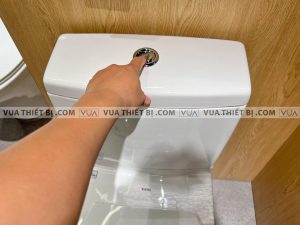 TOTO CS948DT10#XW - Bồn cầu 2 khối nắp êm TC395VS 6 anh thuc te bon cau 2 khoi toto cs948dt2 nap em tc393vs 8